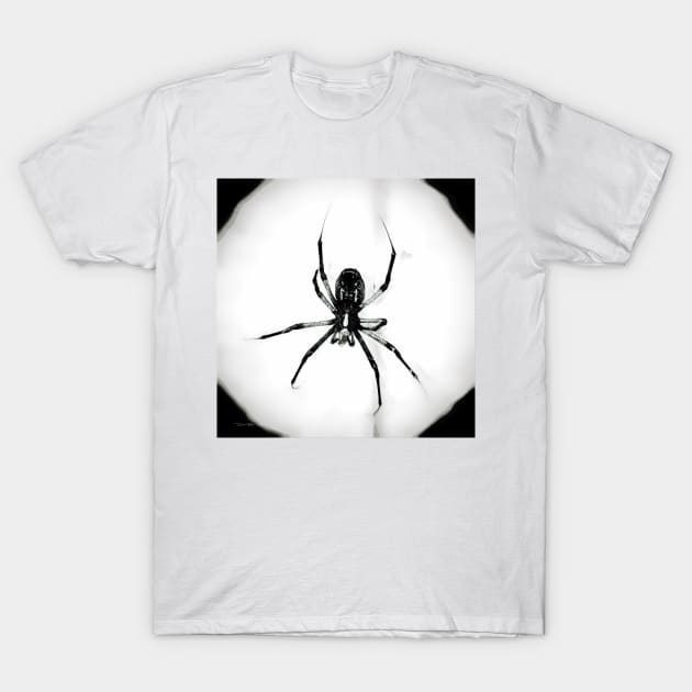 Spyder - Black and White T-Shirt by davidbstudios